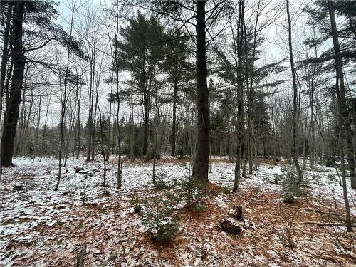 Lot Pleasant Dr, Minto, NB 