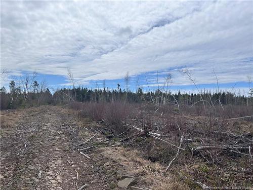 Lot 2 Coy Rd, Ripples, NB 