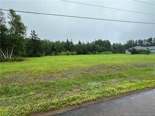 Lot Chevalier Rd, Mcintosh Hill, NB 