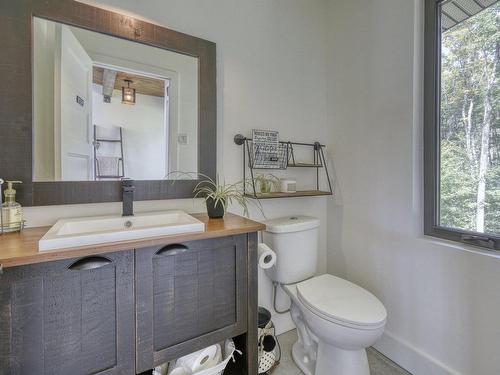 Powder room - 125 Allée Des Weskarinis, Mont-Tremblant, QC - Indoor Photo Showing Bathroom