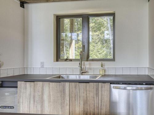 Kitchen - 125 Allée Des Weskarinis, Mont-Tremblant, QC - Indoor Photo Showing Kitchen With Double Sink