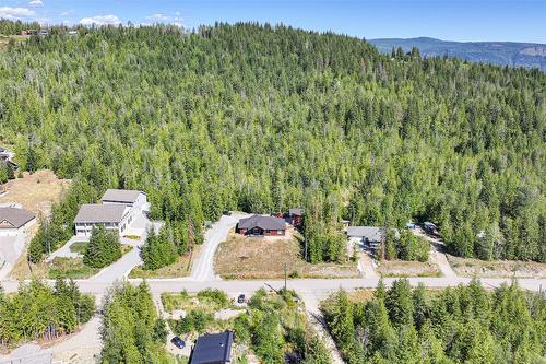 6209 Tatlow Road, Salmon Arm, BC - Outdoor With View