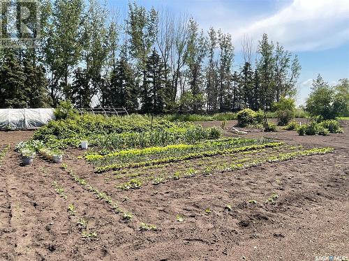 Magiera Acreage, Blaine Lake Rm No. 434, SK - Outdoor