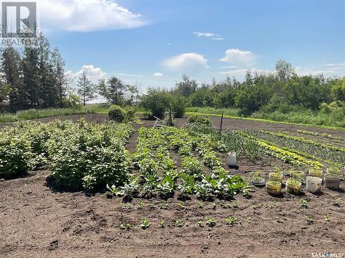 Magiera Acreage, Blaine Lake Rm No. 434, SK - Outdoor