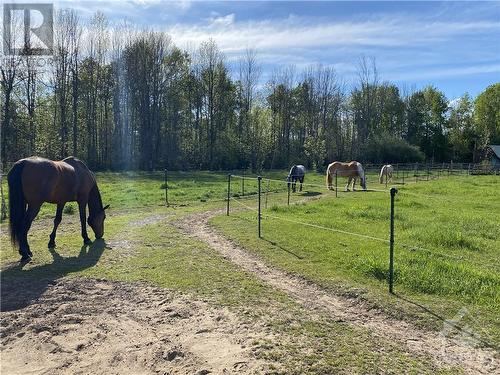 879 9Th Line Road, Carleton Place, ON - Outdoor With View