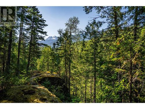 1750 Highway 23 South Highway S, Revelstoke, BC - Outdoor With View