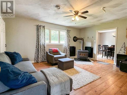 41 Winterland Road, Burin Bay Arm, NL - Indoor Photo Showing Living Room With Fireplace