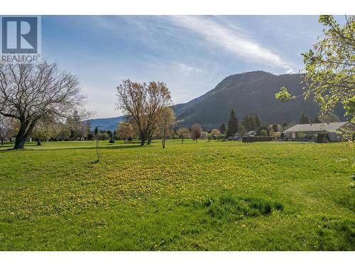 423 Pine Street, Chase, BC - Outdoor With View