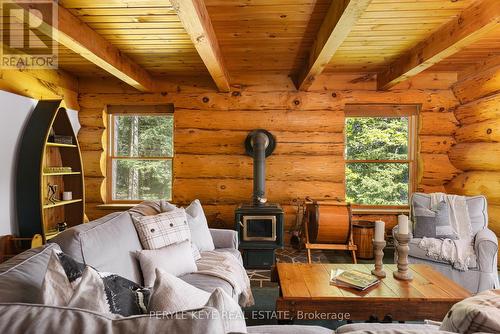 22-26Lm Taylor Island, Gravenhurst, ON - Indoor Photo Showing Living Room With Fireplace