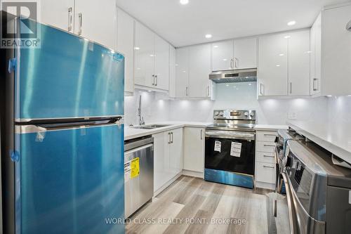 396 Hudson Drive, London, ON - Indoor Photo Showing Kitchen With Upgraded Kitchen