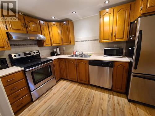 16 Glasgow Place, St. John'S, NL - Indoor Photo Showing Kitchen With Double Sink