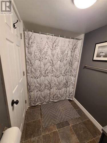 16 Glasgow Place, St. John'S, NL - Indoor Photo Showing Bathroom