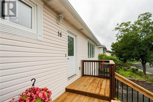 16 Glasgow Place, St. John'S, NL - Outdoor With Deck Patio Veranda With Exterior