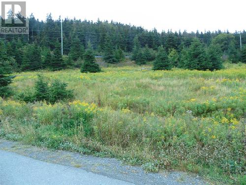 0 Southern Side Lance Cove Road, Bell Island, NL 