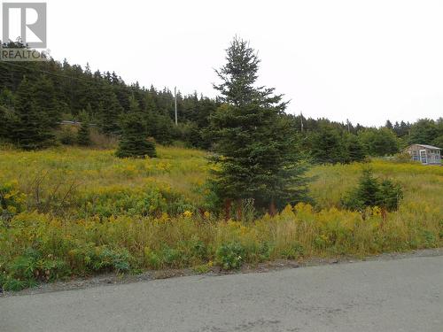 0 Southern Side Lance Cove Road, Bell Island, NL 