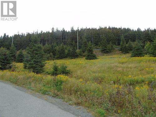 0 Southern Side Lance Cove Road, Bell Island, NL 