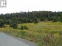 0 Southern Side Lance Cove Road, Bell Island, NL 