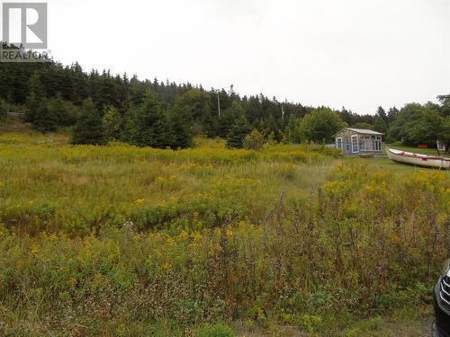 0 Southern Side Lance Cove Road, Bell Island, NL 