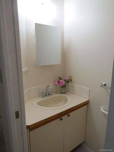 530B 25Th St, Courtenay, BC - Indoor Photo Showing Bathroom