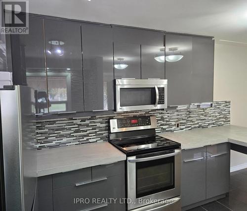 423 Mountainview Drive, Milton, ON - Indoor Photo Showing Kitchen With Upgraded Kitchen