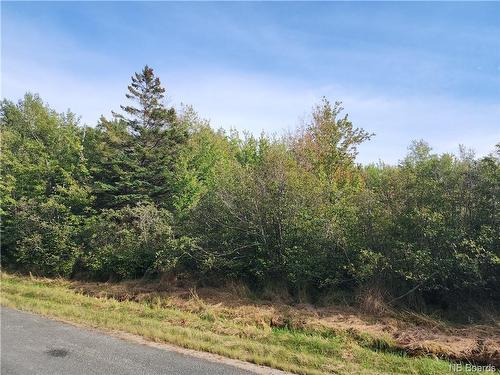 124 Acres Route 117, Hardwicke, NB 