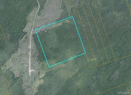 50 Acres Route 117, Hardwicke, NB 