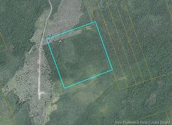 50 acres Route 117  Hardwicke, NB E9A 1L6