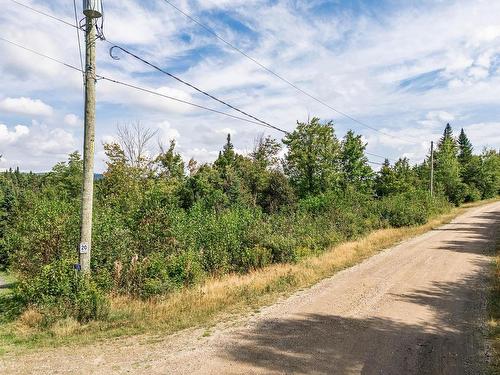 Land/Lot - 128 Ch. Du Corbeau, Notre-Dame-Des-Bois, QC 