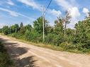 Land/Lot - 128 Ch. Du Corbeau, Notre-Dame-Des-Bois, QC 