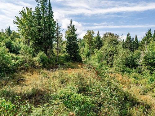 Land/Lot - 128 Ch. Du Corbeau, Notre-Dame-Des-Bois, QC 