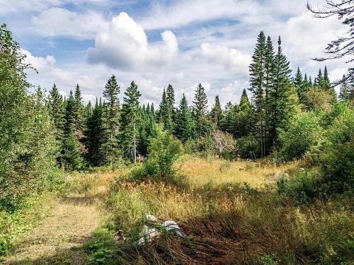 Land/Lot - 128 Ch. Du Corbeau, Notre-Dame-Des-Bois, QC 