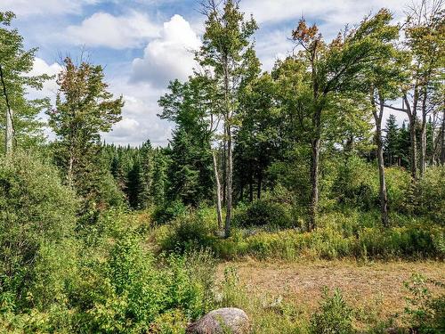 Land/Lot - 128 Ch. Du Corbeau, Notre-Dame-Des-Bois, QC 