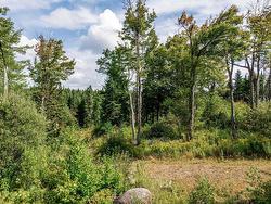 Land/Lot - 