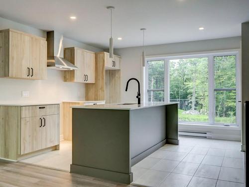 Kitchen - 100 12E Avenue, Saint-Hippolyte, QC - Indoor Photo Showing Kitchen