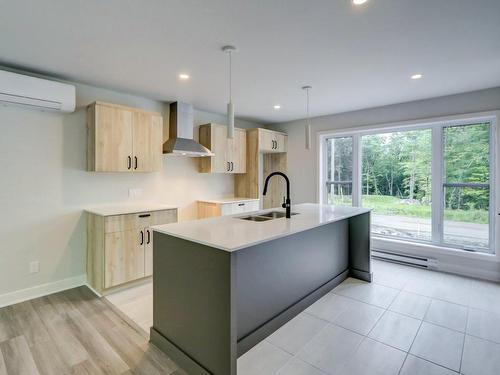 Kitchen - 100 12E Avenue, Saint-Hippolyte, QC - Indoor Photo Showing Kitchen With Double Sink