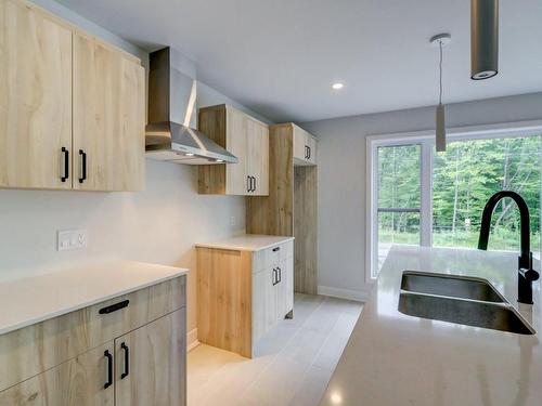 Kitchen - 100 12E Avenue, Saint-Hippolyte, QC - Indoor Photo Showing Kitchen With Double Sink