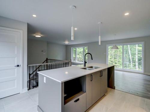 Kitchen - 100 12E Avenue, Saint-Hippolyte, QC - Indoor Photo Showing Kitchen With Double Sink