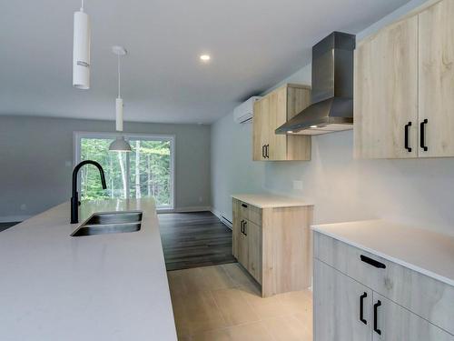 Kitchen - 100 12E Avenue, Saint-Hippolyte, QC - Indoor Photo Showing Kitchen With Double Sink