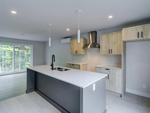 Kitchen - 100 12E Avenue, Saint-Hippolyte, QC - Indoor Photo Showing Kitchen With Double Sink