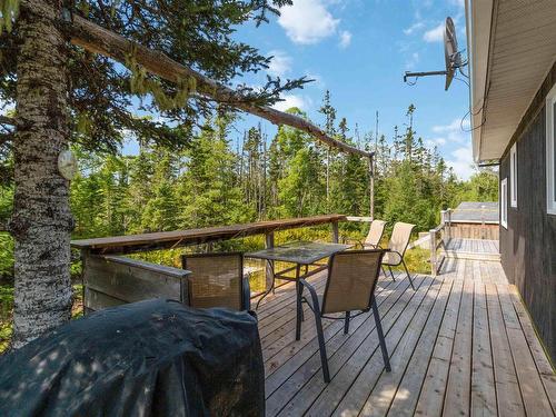 392 Natural Forest Lake Road, Upper New Cornwall, NS 