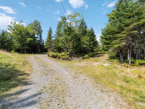 392 Natural Forest Lake Road, Upper New Cornwall, NS 