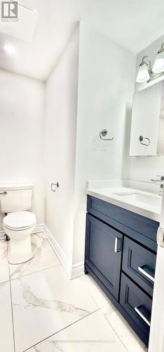 325 Amelia Street, Newmarket (Bristol-London), ON - Indoor Photo Showing Bathroom