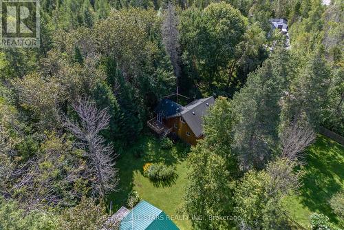 5 Chateau Place, Kawartha Lakes, ON - Outdoor With View