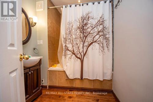 203 County Rd 28 Road, Otonabee-South Monaghan, ON - Indoor Photo Showing Bathroom