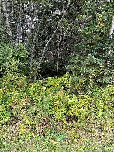 Lot 75-5 Hall Road, Lakeside, NB 