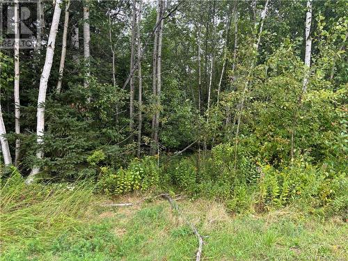 Lot 75-5 Hall Road, Lakeside, NB 