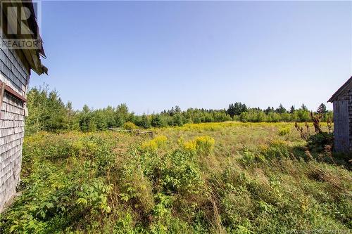 50 Immigrant Road, Malden, NB - Outdoor With View