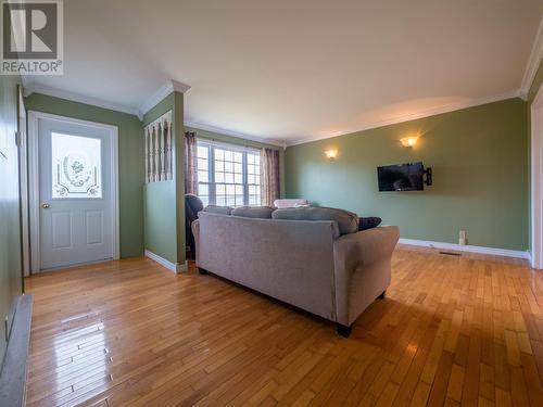 122A Daniel'S Point Road, Trepassey, NL - Indoor Photo Showing Living Room