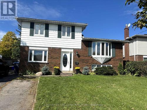 41 Esplanade Road, Brampton, ON - Outdoor