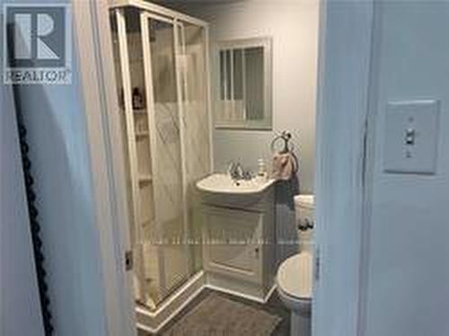 41 Esplanade Road, Brampton, ON - Indoor Photo Showing Bathroom